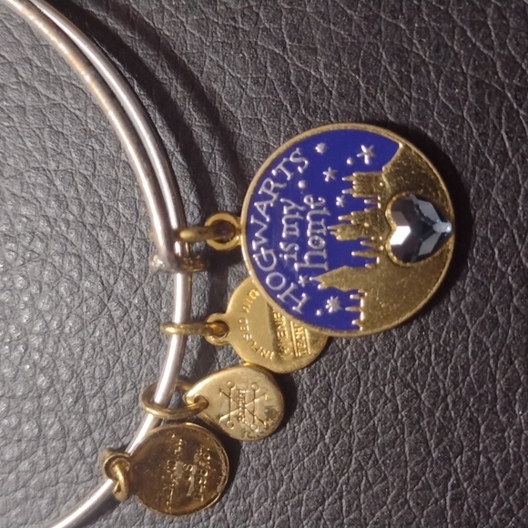 Alex and Ani Jewelry Alex And Ani Harry Potter Hogwarts Home Silver